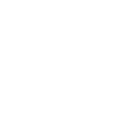 Carlson Street Commerce